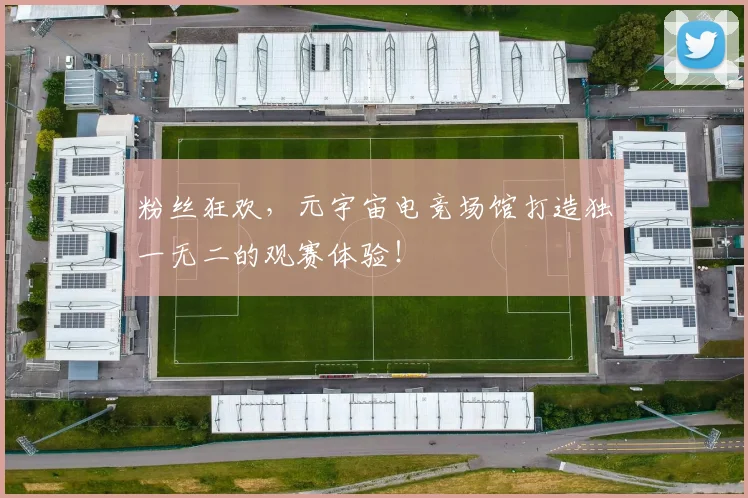 粉丝狂欢,元宇宙电竞场馆打造独一无二的观赛体验!